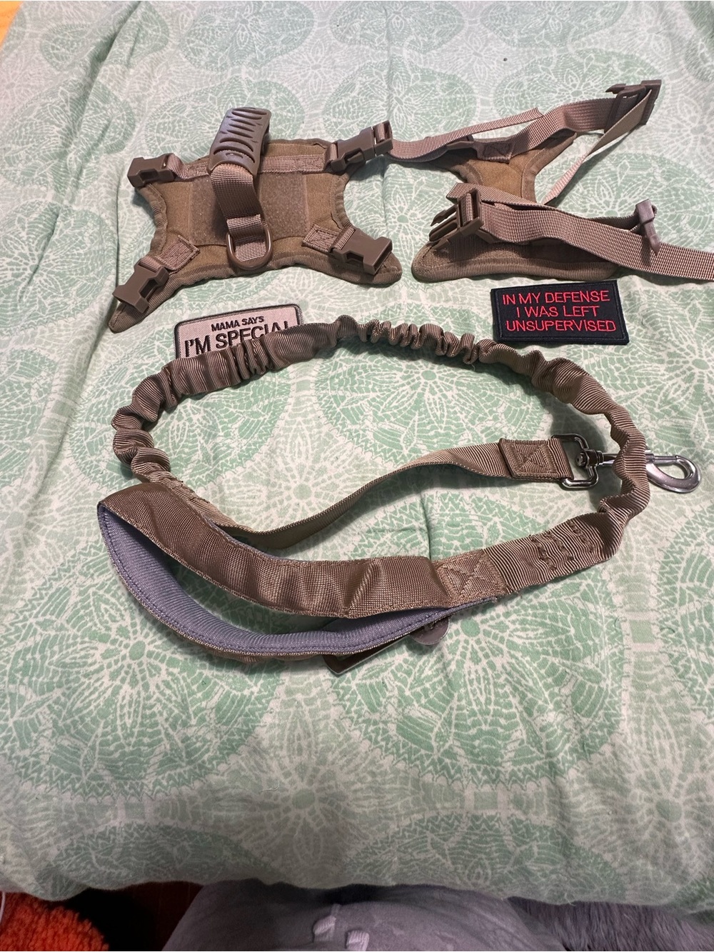 Tactical Dog Harness and Bungee Leash Set in Coyote Brown